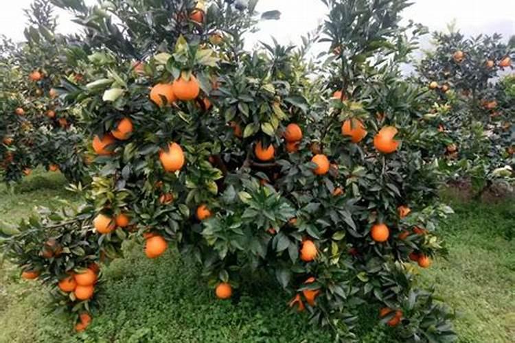 加入熟石灰鉴别氨态氮肥和钾肥的4个具有复分解反应的化学方程式？百度知...