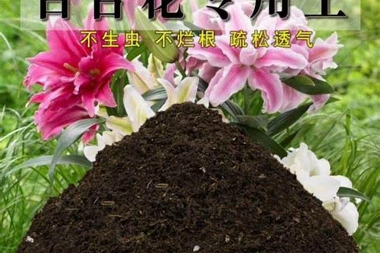 草木灰可以直接用作施肥吗