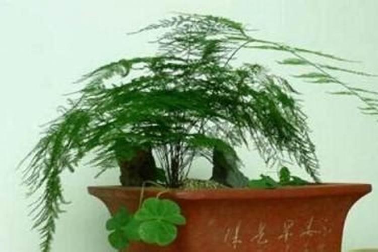 草莓喜欢什么样的土壤