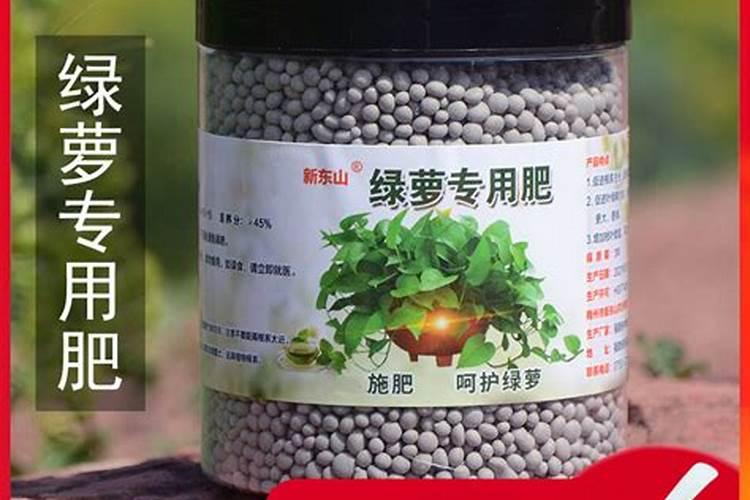 绿萝可以施复合肥吗