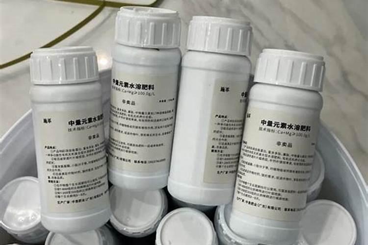 小雏菊多长时间浇一次水