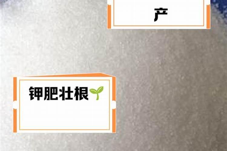 镁肥的使用方法