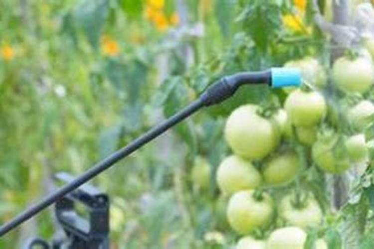 锡林浩特有哪些煤矿