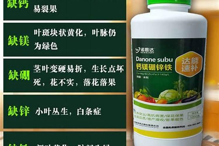 今年玉米多少钱一斤