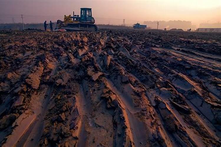 化肥的用量一般是多少一亩