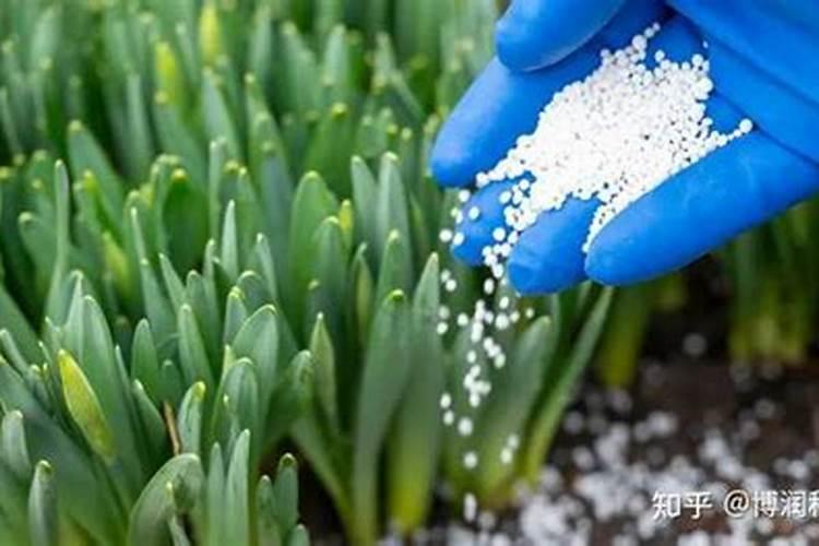 如何识别撒可富复合肥真假