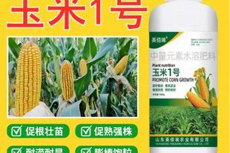 玉米高产追肥用什么叶面肥合适？什么时候用好