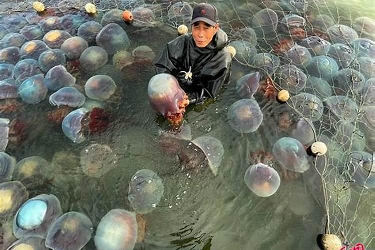 栀子花浇什么肥料合适