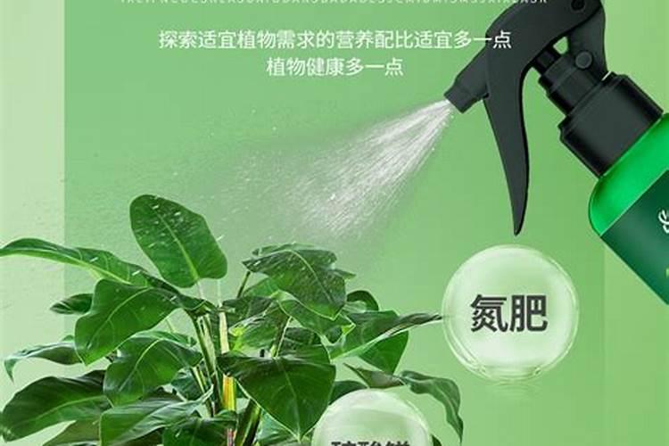 盐碱地种植什么苗木最好