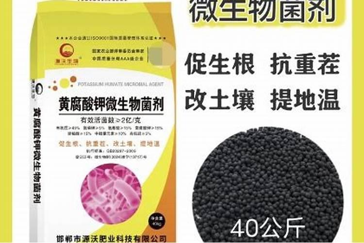若庄稼出现成片歪斜、匍倒的倒伏现象,据此,最有可能需要施用的肥料是...