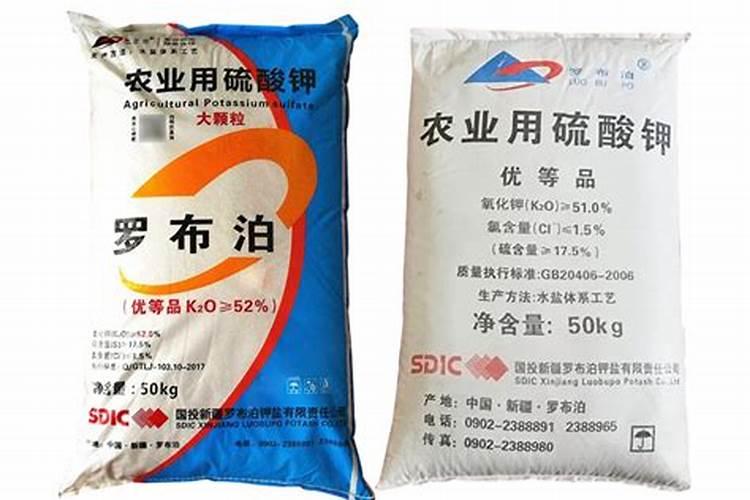 种植麻山药,出苗以后如何进行田间管理,可以促进丰产丰收？