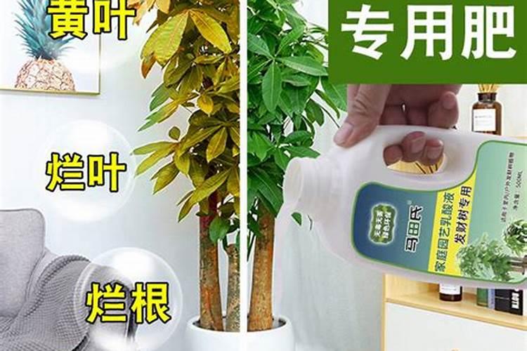 真的有植物疫苗吗？最近看到有很多“超敏蛋白”产品的宣传,到底有什么作 ...