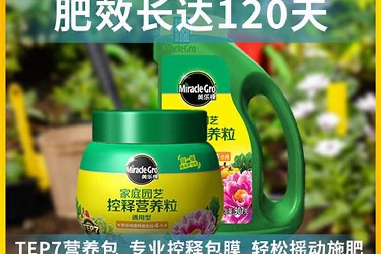 西红柿使用什么肥料最好？