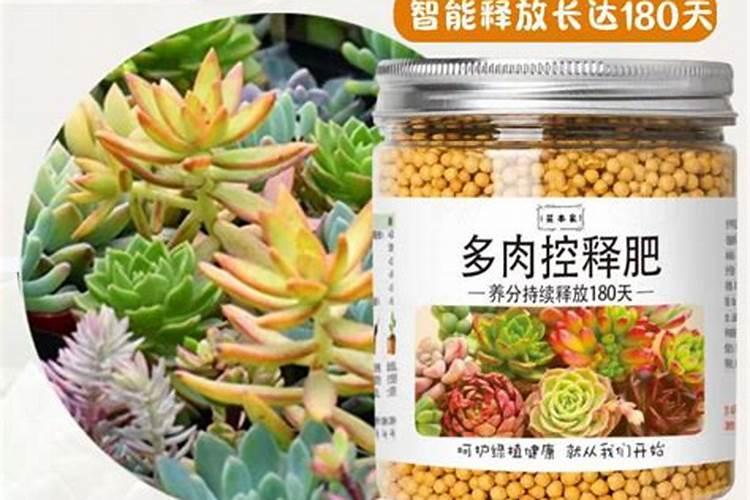 网购的多肉上盆能用多肉控释肥吗