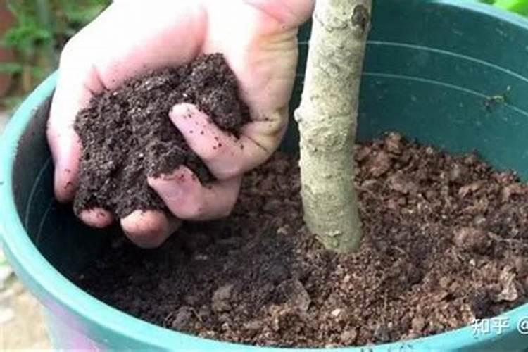 粪便主要化学成分