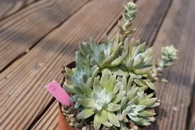 润宝研磨622事故原因分析