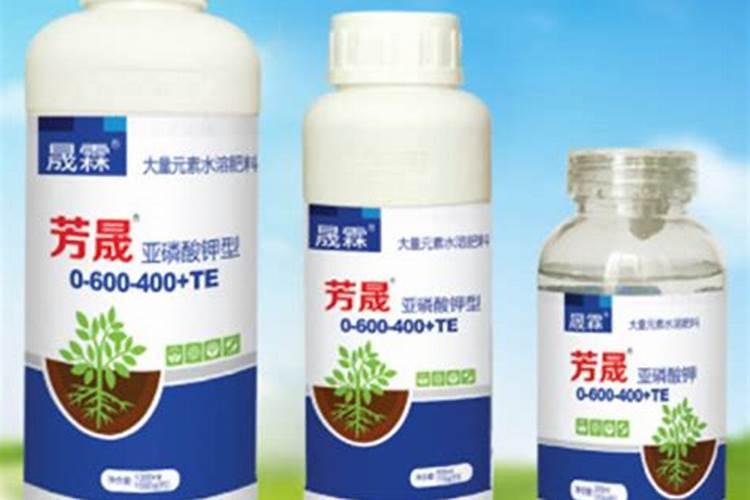 维生素可以浇花吗