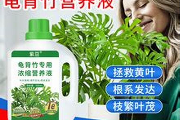 维生素c能养花吗
