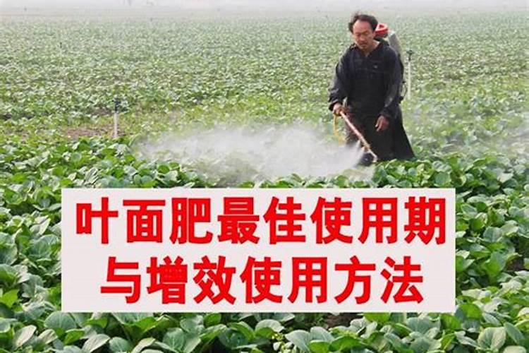 花卉专用肥都有哪些