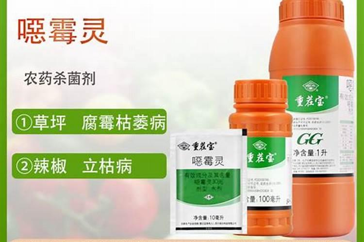 辣椒苗床土壤消毒什么药最好？