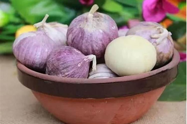 拌蒜种用先正达什么杀菌药最好？