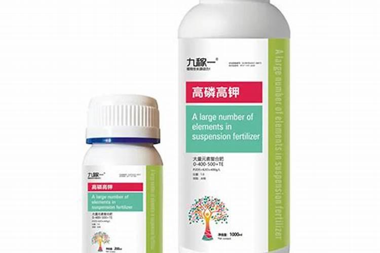 燕尾竹怎么养？