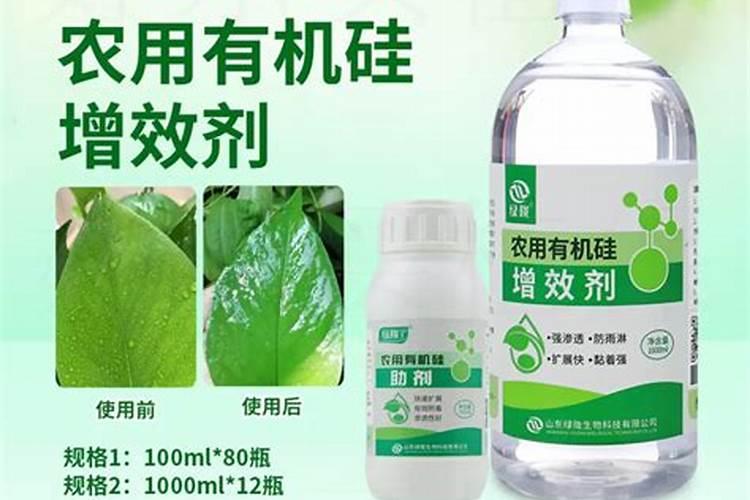叶面肥十大名牌排名