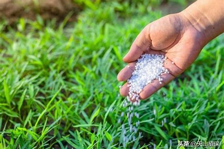 化肥迎来景气大周期,国内哪些化肥企业最受益？