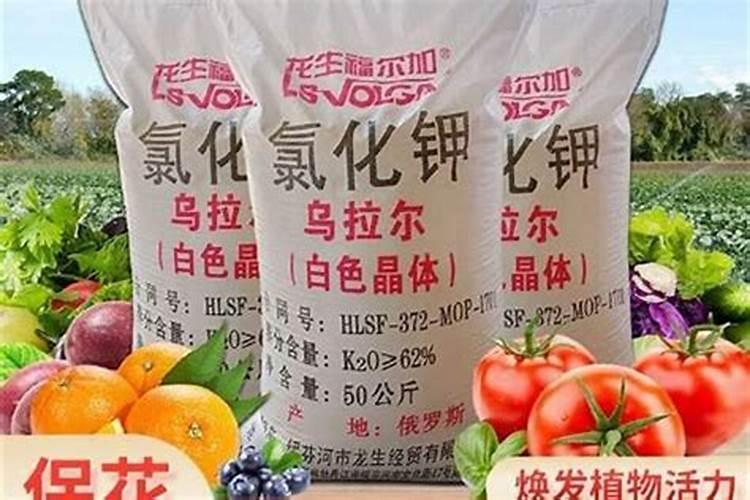 墙面起碱用草酸的使用方法