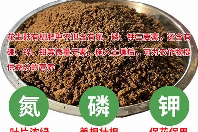 花生饼怎么做肥料养花
