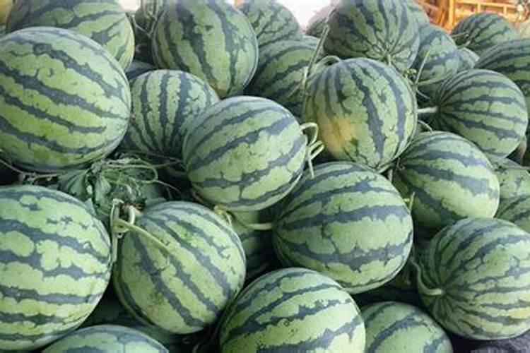 种西瓜用什么肥料好
