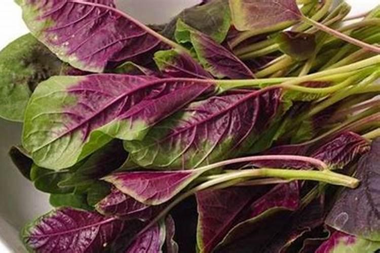 区分氮肥、磷肥、钾肥的方法有 ①看外观.氮肥、钾肥都是白色晶体;磷肥...