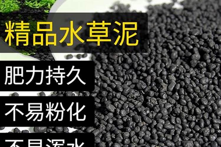 西兰花的正确种植方法是什么