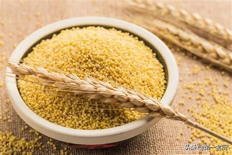 小米坏了怎么发酵成肥料