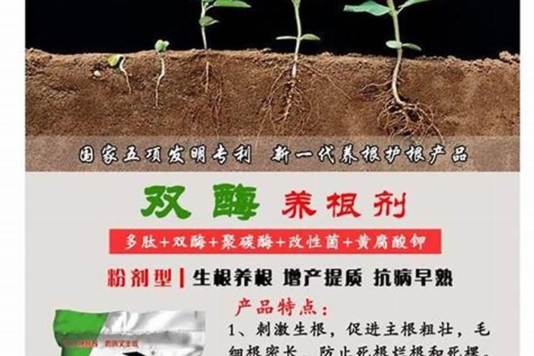 不同钾肥的适用作物和注意事项有哪些？