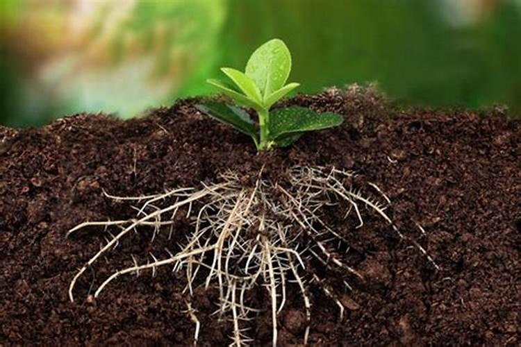 迪尔集团拖欠工资