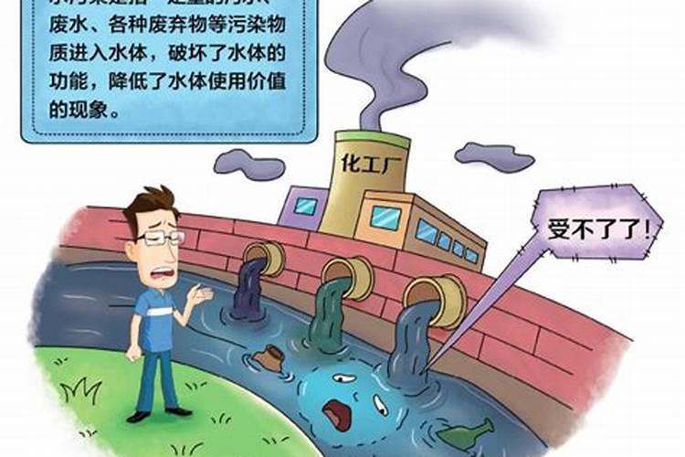 茶花开花期间应加什么肥料