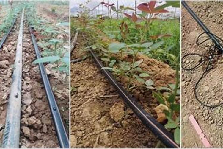 格威尔瓷砖怎么样