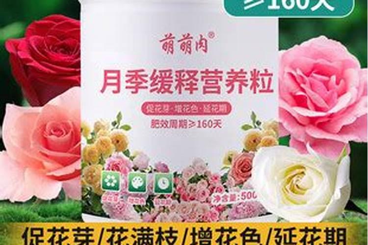 紫藤萝的花语是什么？紫藤萝的寓意和象征