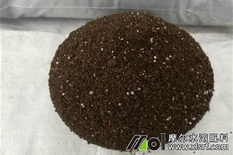 西瓜育苗期用什么水溶肥料能促进苗快速生长？
