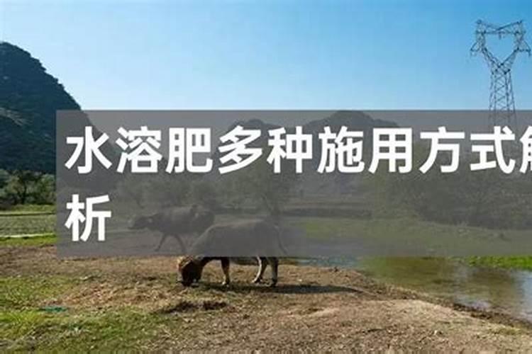 厨余垃圾水溶肥的制作与使用