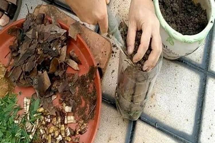 羊粪做叶面肥的配方