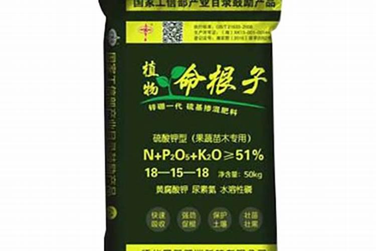 贵州特产水果作文400字