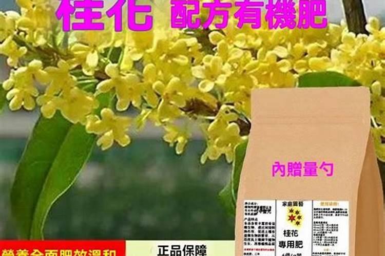 大量元素水溶肥在大棚内喷叶面烧苗吗？