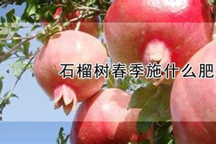 黄瓜水敷脸有什么好处