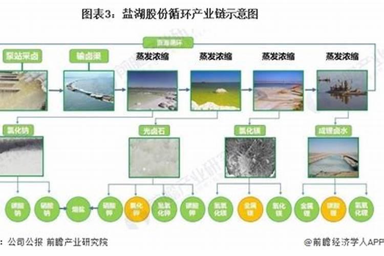 中国最大的氯化钾生产公司