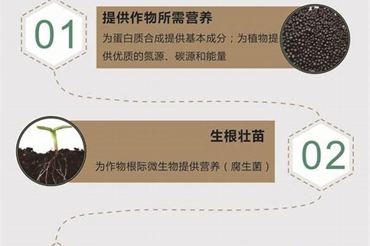 氨基酸叶面肥最好品牌