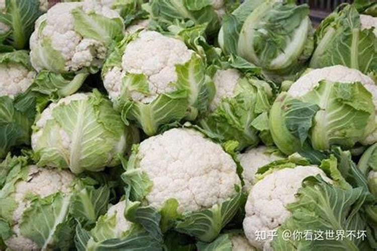 高钾肥 花菜变硬