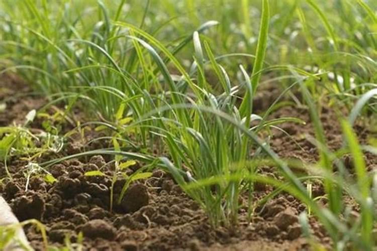 有什么好吃的家常菜,又简单的.