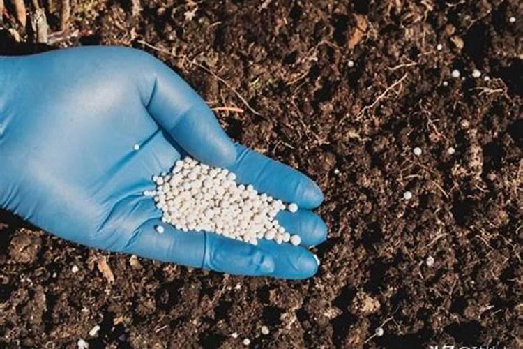 神农为什么被称为“神农氏”？